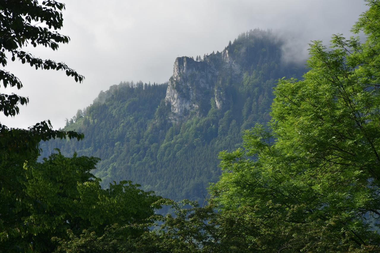 Cor-Resort - Boutique Villa Brannenburg Buitenkant foto